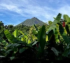 Alajuela